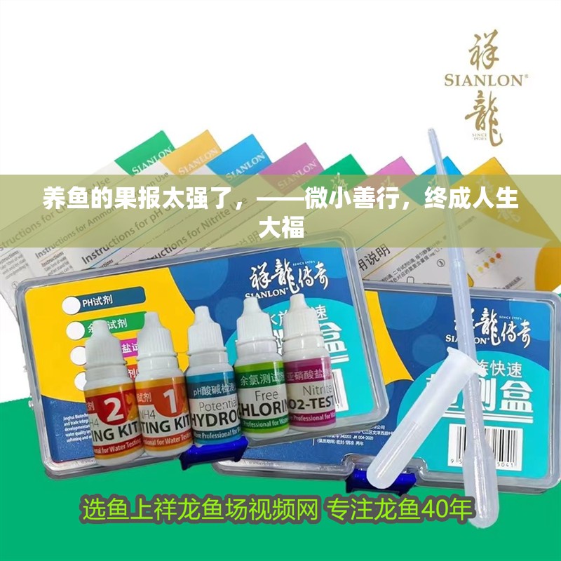 養(yǎng)魚的果報(bào)太強(qiáng)了，——微小善行，終成人生大福