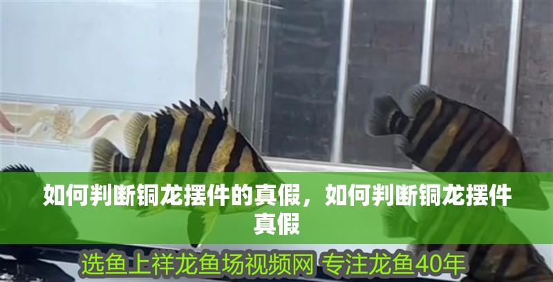 如何判斷銅龍擺件的真假，如何判斷銅龍擺件真假