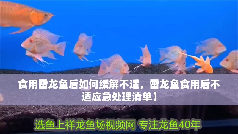 食用雷龍魚后如何緩解不適，雷龍魚食用后不適應急處理清單】