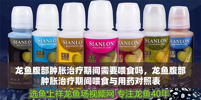 龍魚腹部腫脹治療期間需要喂食嗎，龍魚腹部腫脹治療期間喂食與用藥對照表