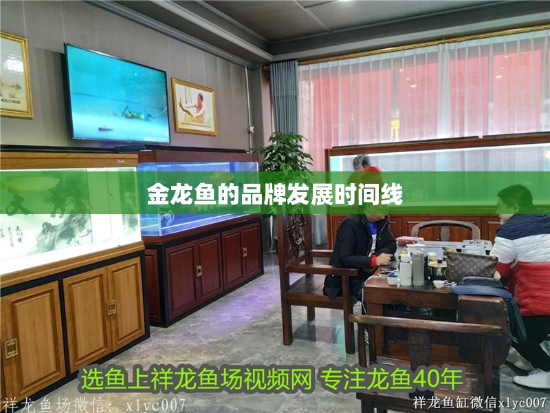 金龍魚的品牌發展時間線