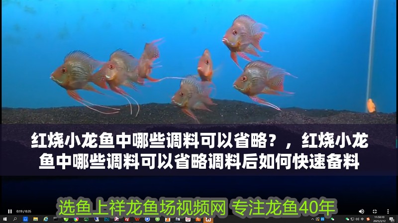 紅燒小龍魚中哪些調(diào)料可以省略？，紅燒小龍魚中哪些調(diào)料可以省略調(diào)料后如何快速備料