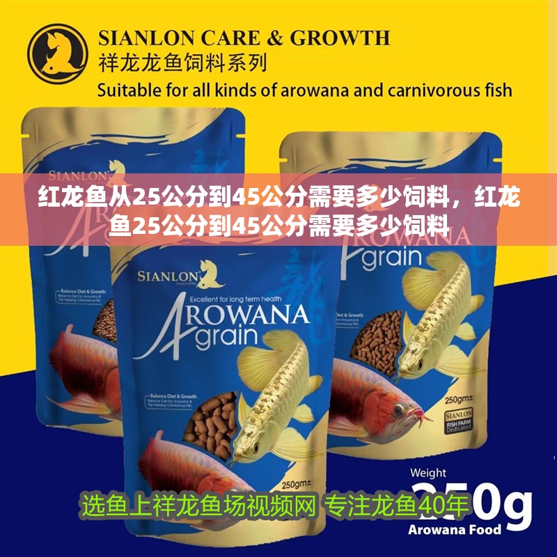 紅龍魚從25公分到45公分需要多少飼料，紅龍魚25公分到45公分需要多少飼料