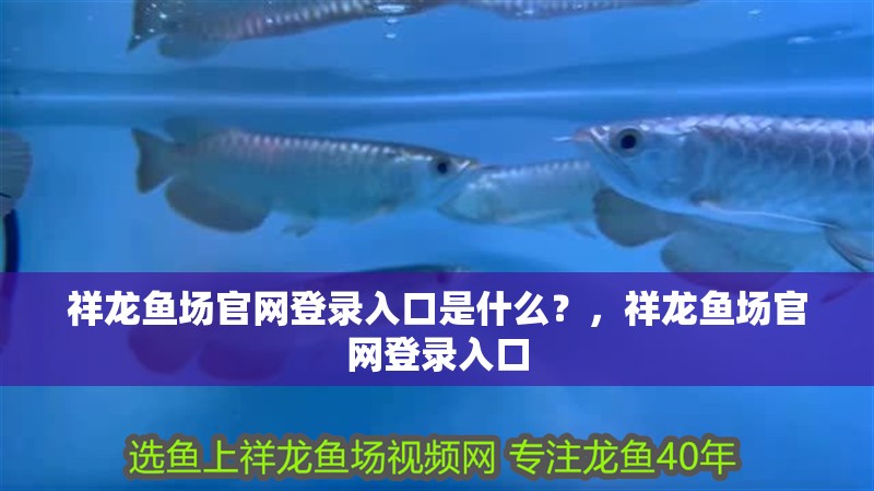 祥龍魚場官網登錄入口是什么？，祥龍魚場官網登錄入口