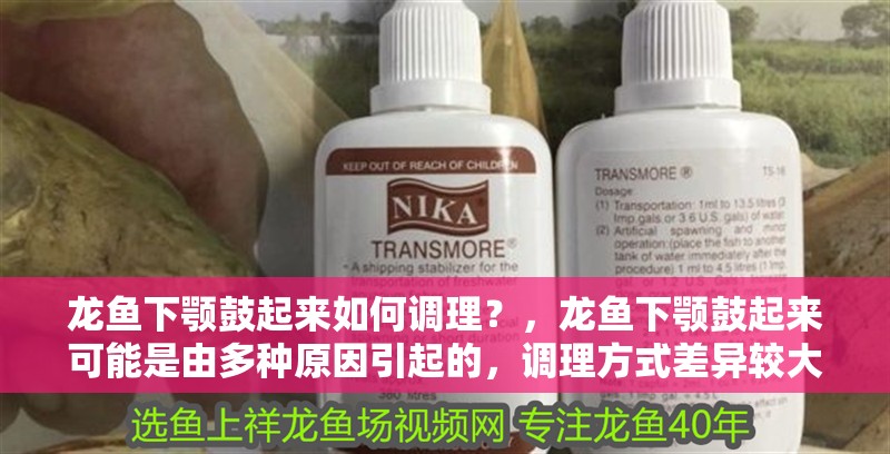 龍魚下顎鼓起來如何調理？，龍魚下顎鼓起來可能是由多種原因引起的，調理方式差異較大