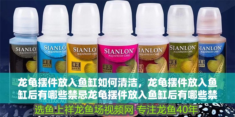 龍龜擺件放入魚缸如何清潔，龍龜擺件放入魚缸后有哪些禁忌龍龜擺件放入魚缸后有哪些禁忌
