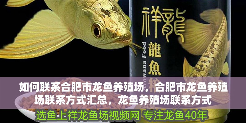 如何聯(lián)系合肥市龍魚養(yǎng)殖場，合肥市龍魚養(yǎng)殖場聯(lián)系方式匯總，龍魚養(yǎng)殖場聯(lián)系方式