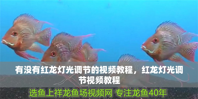 有沒有紅龍燈光調(diào)節(jié)的視頻教程，紅龍燈光調(diào)節(jié)視頻教程