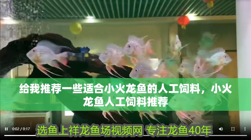 給我推薦一些適合小火龍魚的人工飼料，小火龍魚人工飼料推薦