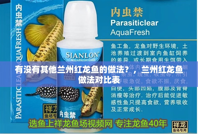 有沒有其他蘭州紅龍魚的做法？，蘭州紅龍魚做法對比表