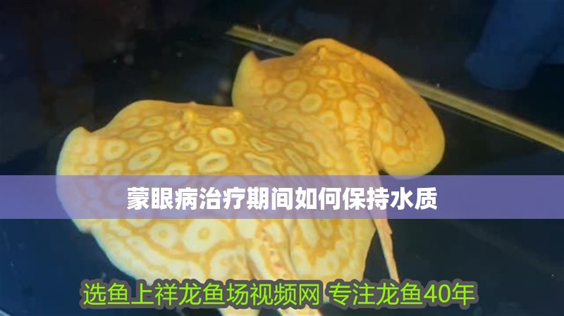 蒙眼病治療期間如何保持水質
