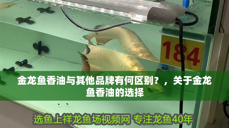 金龍魚香油與其他品牌有何區別？，關于金龍魚香油的選擇