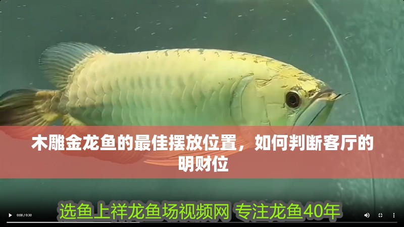 木雕金龍魚的最佳擺放位置，如何判斷客廳的明財位