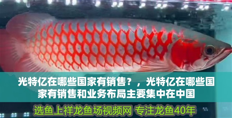 光特億在哪些國家有銷售？，光特億在哪些國家有銷售和業務布局主要集中在中國