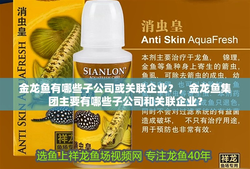 金龍魚有哪些子公司或關聯企業？，金龍魚集團主要有哪些子公司和關聯企業？