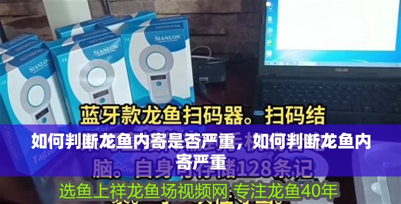 如何判斷龍魚內(nèi)寄是否嚴(yán)重，如何判斷龍魚內(nèi)寄嚴(yán)重