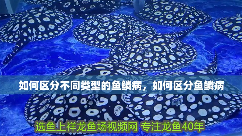 如何區(qū)分不同類型的魚鱗病，如何區(qū)分魚鱗病