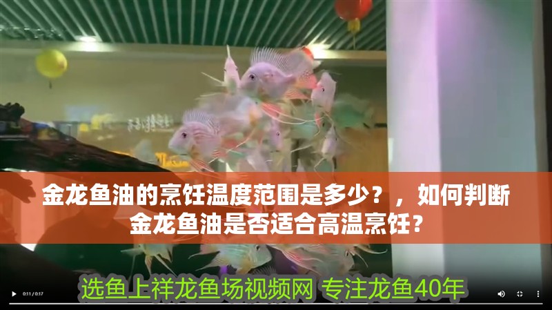 金龍魚油的烹飪溫度范圍是多少？，如何判斷金龍魚油是否適合高溫烹飪？