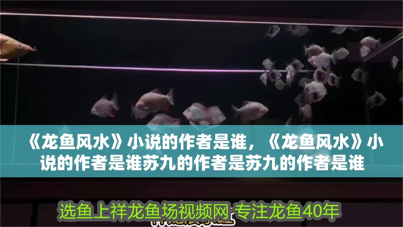 《龍魚風(fēng)水》小說的作者是誰，《龍魚風(fēng)水》小說的作者是誰蘇九的作者是蘇九的作者是誰