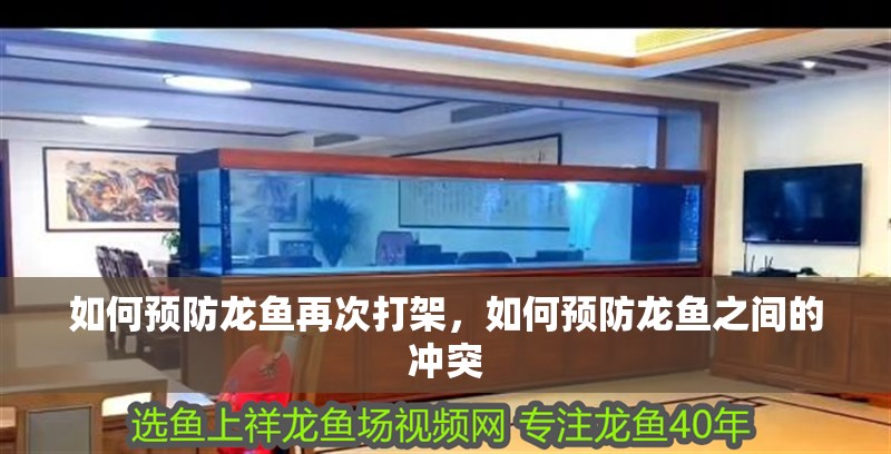 如何預防龍魚再次打架，如何預防龍魚之間的沖突