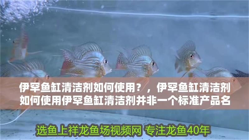 伊罕魚缸清潔劑如何使用？，伊罕魚缸清潔劑如何使用伊罕魚缸清潔劑并非一個標準產品名稱