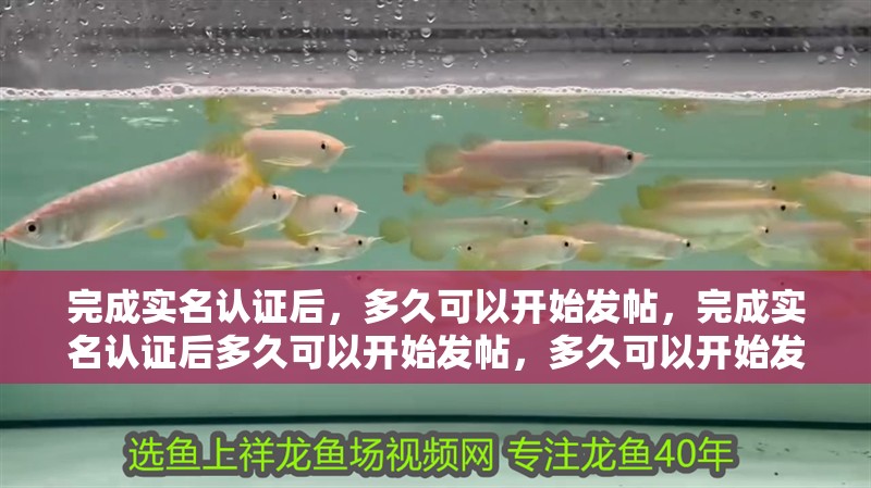 完成實名認證后，多久可以開始發(fā)帖，完成實名認證后多久可以開始發(fā)帖，多久可以開始發(fā)帖