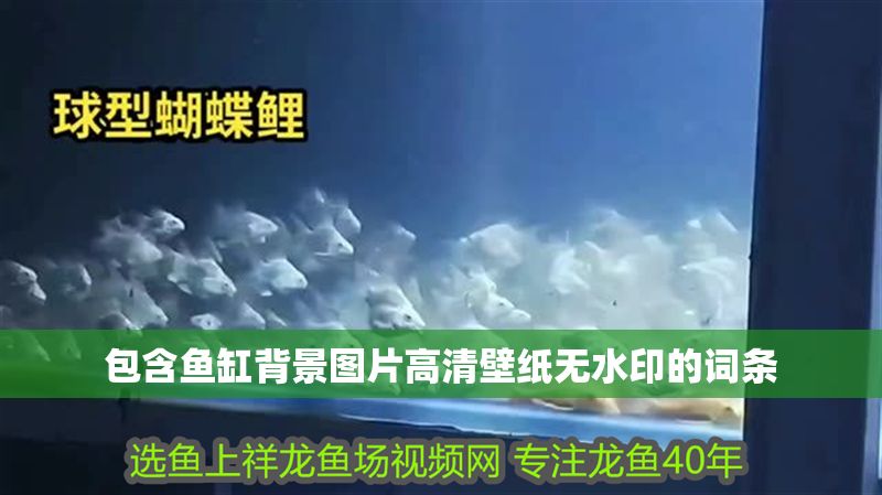 包含魚缸背景圖片高清壁紙無水印的詞條