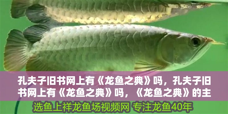 孔夫子舊書網(wǎng)上有《龍魚之典》嗎，孔夫子舊書網(wǎng)上有《龍魚之典》嗎，《龍魚之典》的主要內(nèi)容是什么
