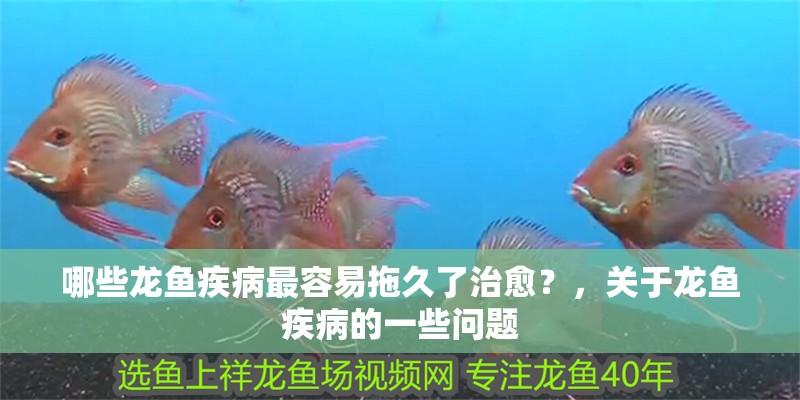 哪些龍魚疾病最容易拖久了治愈？，關(guān)于龍魚疾病的一些問題