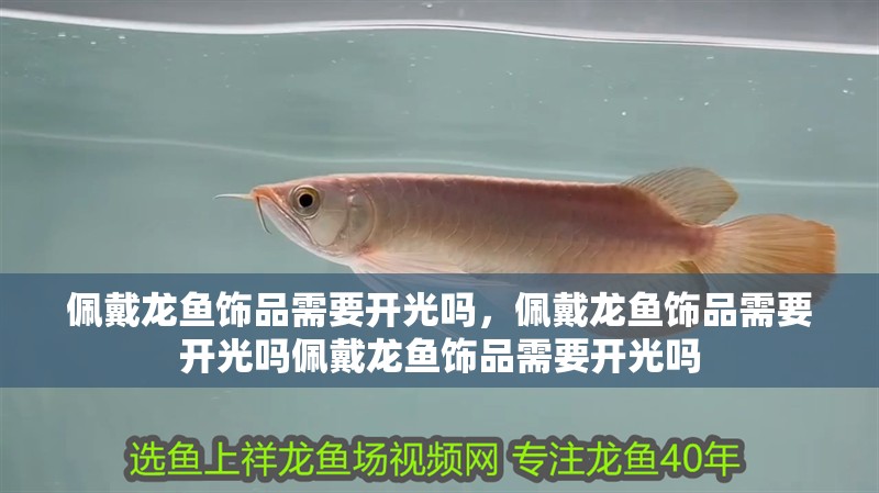佩戴龍魚飾品需要開光嗎，佩戴龍魚飾品需要開光嗎佩戴龍魚飾品需要開光嗎