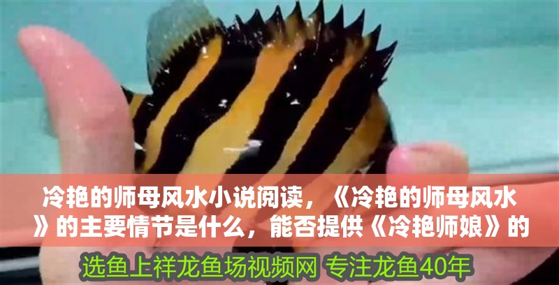 冷艷的師母風水小說閱讀，《冷艷的師母風水》的主要情節是什么，能否提供《冷艷師娘》的詳細章節介紹