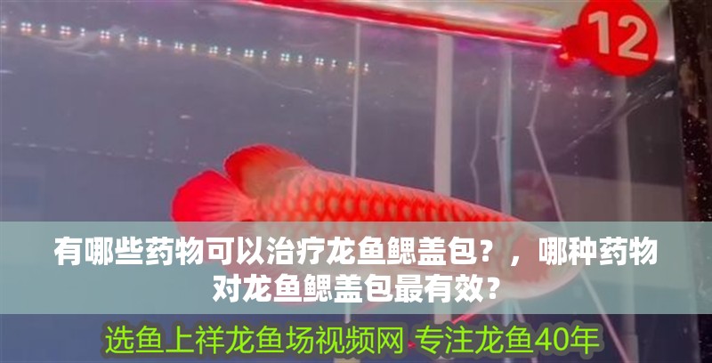 有哪些藥物可以治療龍魚鰓蓋包？，哪種藥物對龍魚鰓蓋包最有效？