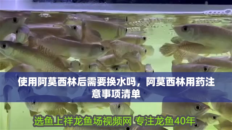 使用阿莫西林后需要換水嗎，阿莫西林用藥注意事項清單