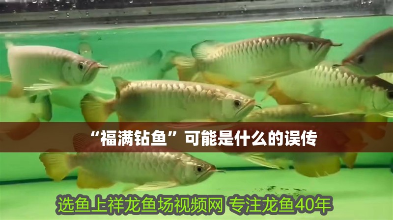 “福滿(mǎn)鉆魚(yú)”可能是什么的誤傳