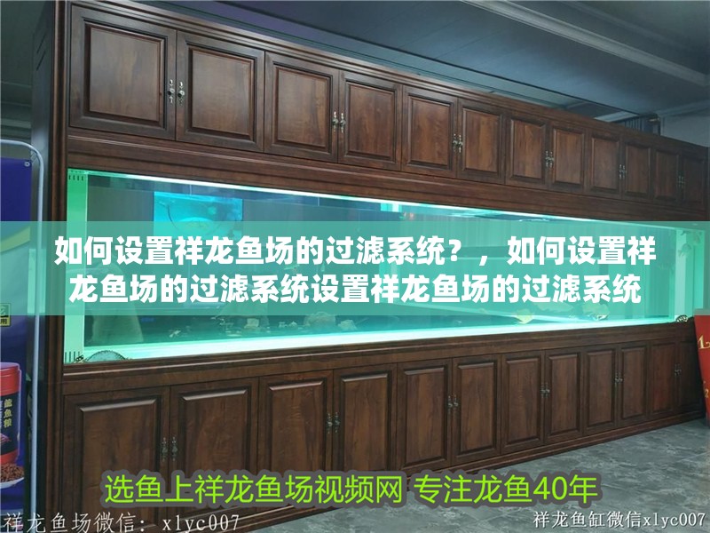 如何設(shè)置祥龍魚場的過濾系統(tǒng)？，如何設(shè)置祥龍魚場的過濾系統(tǒng)設(shè)置祥龍魚場的過濾系統(tǒng)