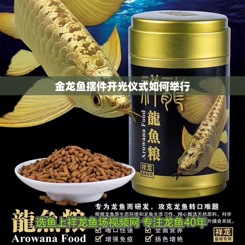 金龍魚擺件開光儀式如何舉行
