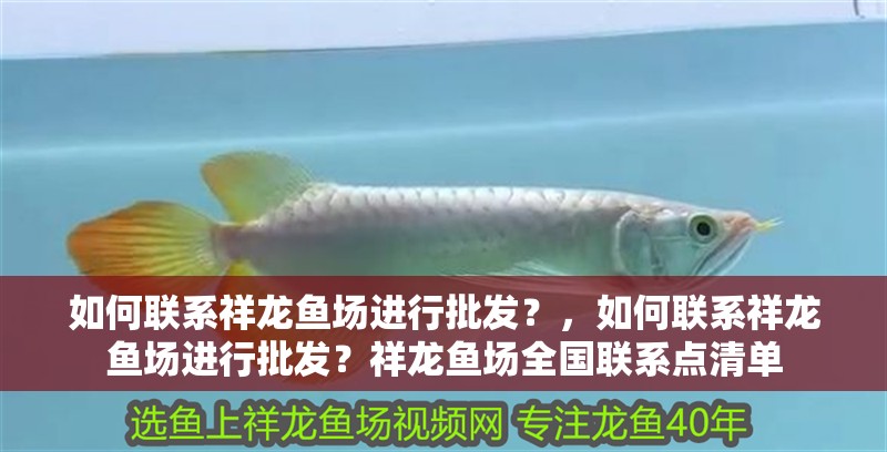 如何聯系祥龍魚場進行批發？，如何聯系祥龍魚場進行批發？祥龍魚場全國聯系點清單