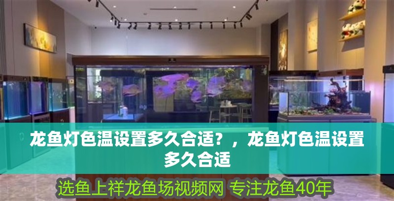 龍魚燈色溫設置多久合適？，龍魚燈色溫設置多久合適