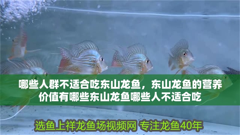 哪些人群不適合吃東山龍魚，東山龍魚的營養價值有哪些東山龍魚哪些人不適合吃