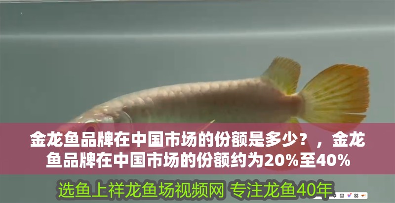 金龍魚品牌在中國市場的份額是多少？，金龍魚品牌在中國市場的份額約為20%至40%