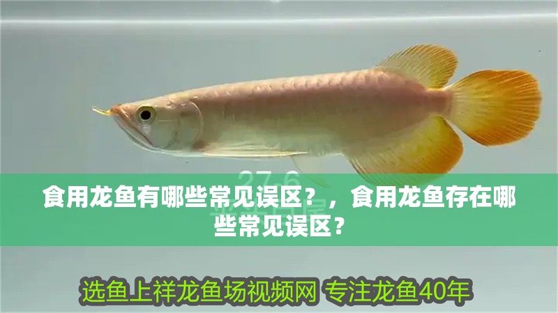 食用龍魚有哪些常見誤區？，食用龍魚存在哪些常見誤區？