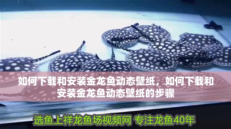 如何下載和安裝金龍魚動態壁紙，如何下載和安裝金龍魚動態壁紙的步驟