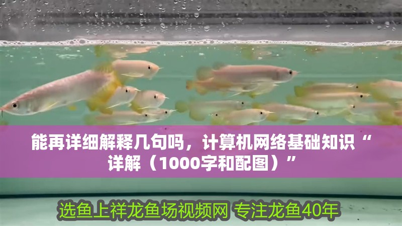 能再詳細解釋幾句嗎，計算機網絡基礎知識“詳解（1000字和配圖）”