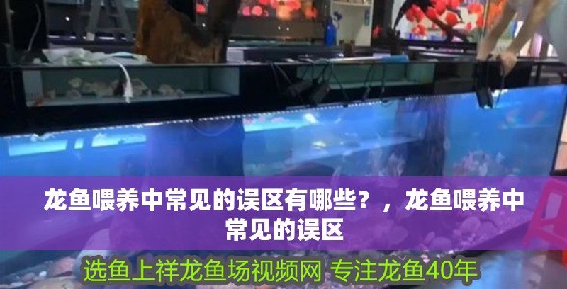 龍魚喂養中常見的誤區有哪些？，龍魚喂養中常見的誤區