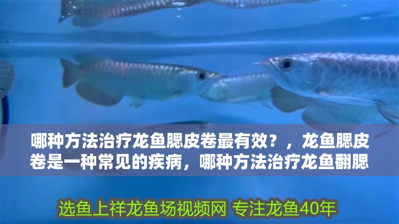 哪種方法治療龍魚腮皮卷最有效？，龍魚腮皮卷是一種常見的疾病，哪種方法治療龍魚翻腮最有效