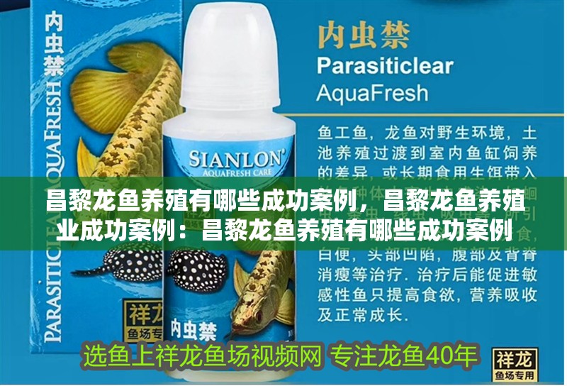 昌黎龍魚養(yǎng)殖有哪些成功案例，昌黎龍魚養(yǎng)殖業(yè)成功案例：昌黎龍魚養(yǎng)殖有哪些成功案例