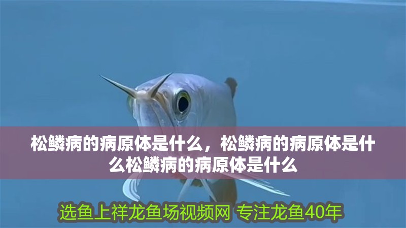 松鱗病的病原體是什么，松鱗病的病原體是什么松鱗病的病原體是什么