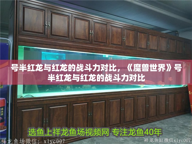 號半紅龍與紅龍的戰斗力對比，《魔獸世界》號半紅龍與紅龍的戰斗力對比