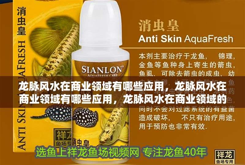 龍脈風水在商業(yè)領域有哪些應用，龍脈風水在商業(yè)領域有哪些應用，龍脈風水在商業(yè)領域的應用