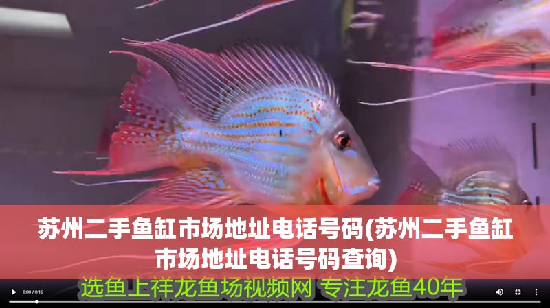 蘇州二手魚缸市場地址電話號碼(蘇州二手魚缸市場地址電話號碼查詢)